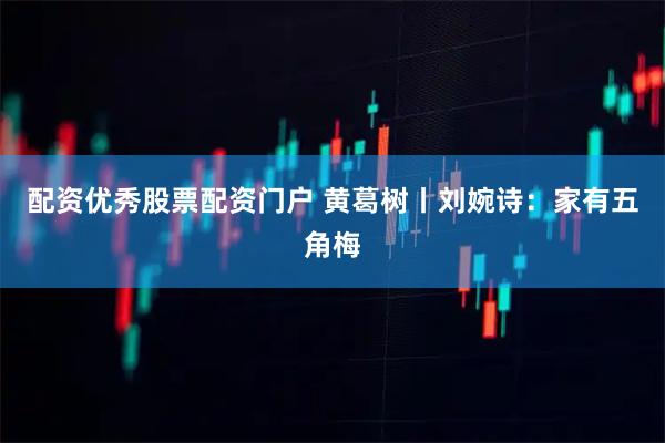 配资优秀股票配资门户 黄葛树丨刘婉诗：家有五角梅