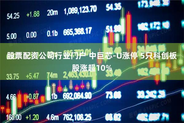 股票配资公司行业门户 中巨芯-U涨停 5只科创板股涨超10%